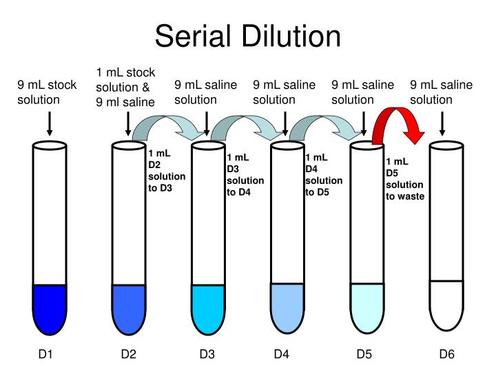 Serial Dilution Steps